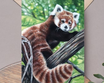 Carte de voeux panda roux - carte faune - panda roux - carte panda roux - carte faune - carte d'anniversaire panda roux - cadeaux panda roux