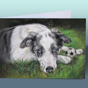 Grußkarte Border Collie | Karte Border Collie | Border-Collie-Geburtstagskarte | Süße Hundekarte | Karte vom Hund | Karte von Blue Merle