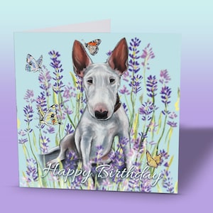 Bull Terrier-verjaardagskaarten - Bull Terrier-kaart - Bullterrier - Bull Terrier-kaart - hondenwenskaart - hond - wenskaart