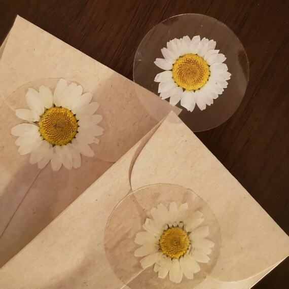 10 Stickers Daisy Pressed Flower Stickers Cottagecore Etsy