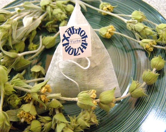Greek Mountain Tea - 12 or 24 herb pyramids box - dried ironwort, Greek herbal tea infusion, shepherd's tea, sideritis in tea bags