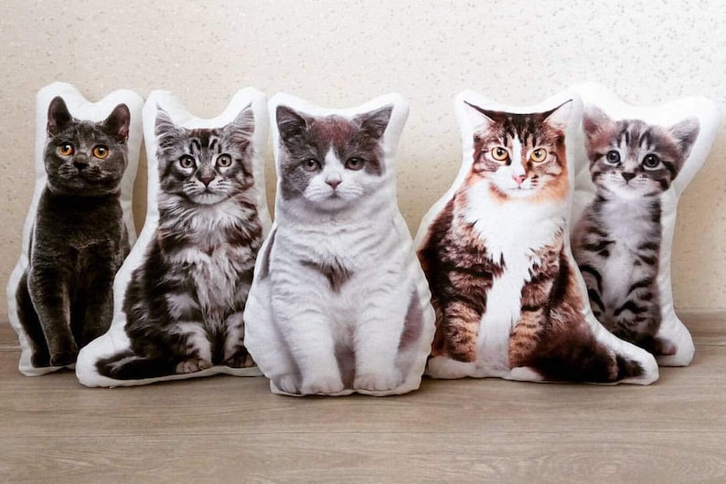 Plush Pillow. Home Decor. Cat Lover Gift. Cat Pillow. Cat Etsy