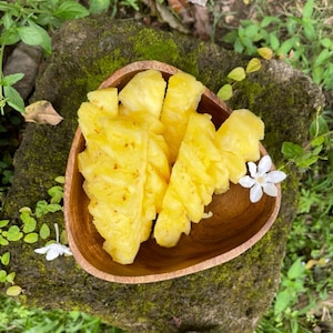 Może przedstawiać: Drewniana miska wypełniona żółtymi kawałkami ananasa. Miska stoi na porośniętym mchem kamieniu z zielonymi roślinami w tle.