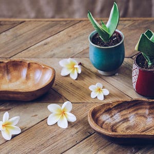Set of 2 Handmade Acacia wood Shell shaped bowls |  Wooden Serving Set | Wooden Shell bowls |  Kitchen Decor Gifts | Wood bowls