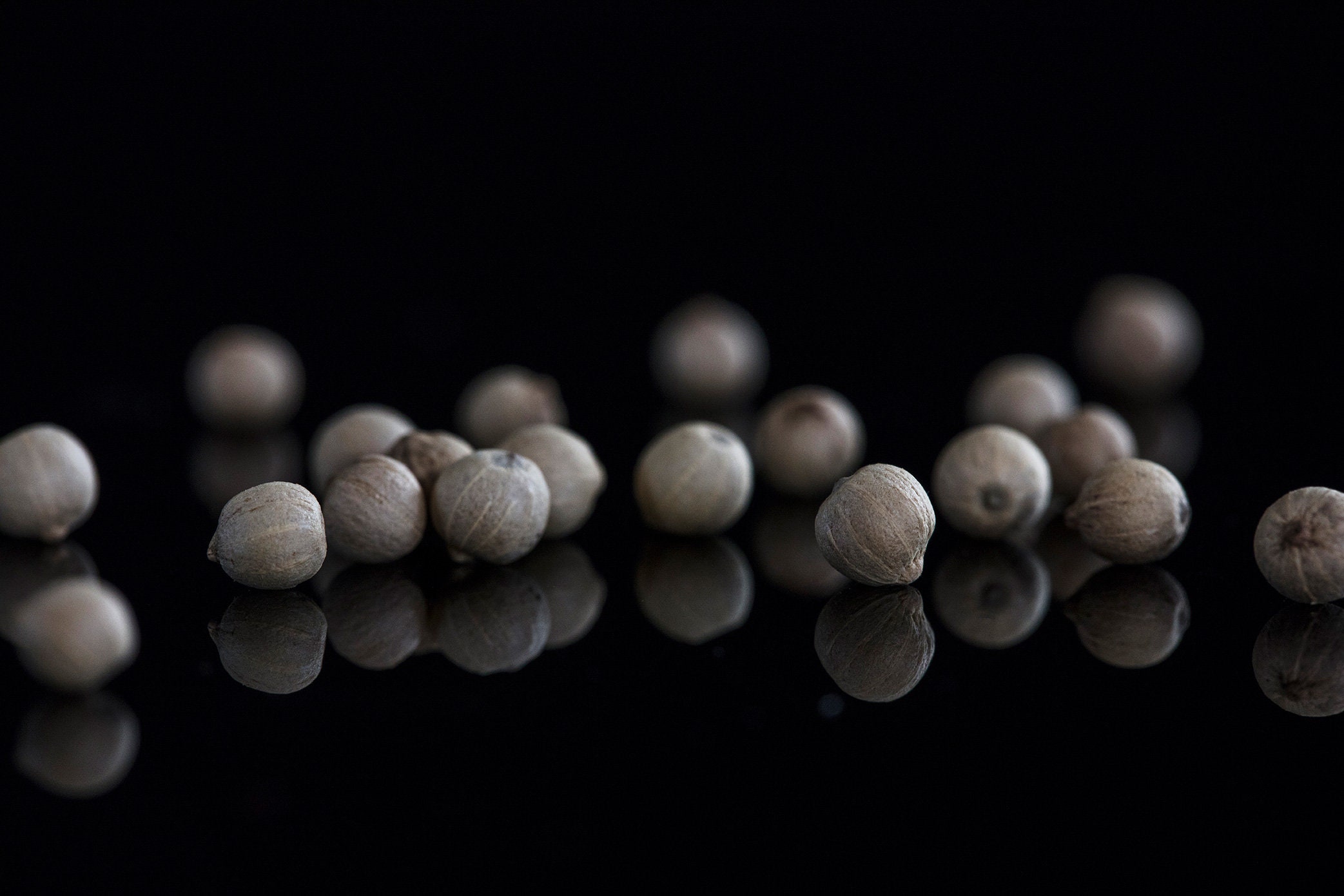 Graines de Poivre Blanc Madagascar en Sachet Refermable 25 Gr - en Direct Des Producteurs