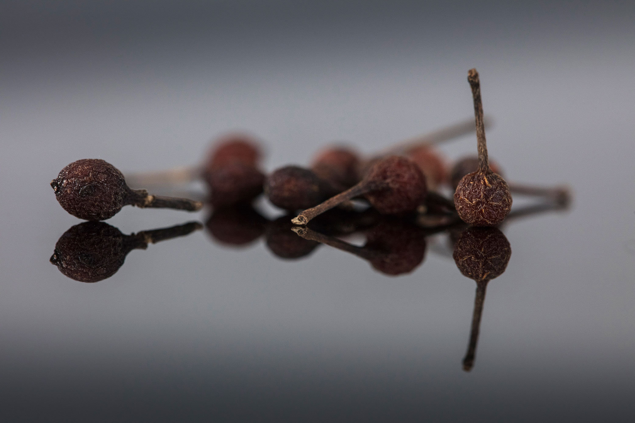 Poivre Sauvage Rouge de Madagascar, Voatsiperifery, en Direct Des Forêts, Qualité Premium Sachet Ref