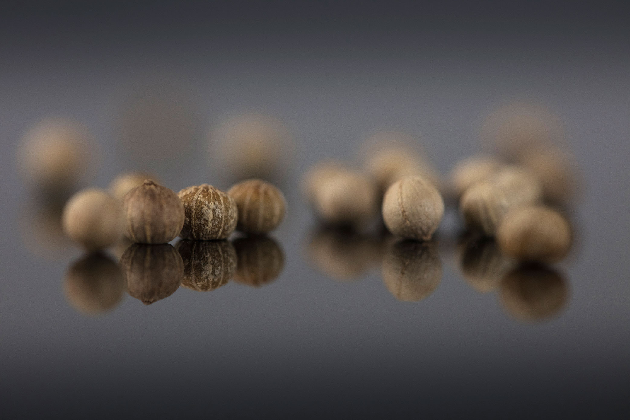 Poivre Blanc de Kampot en Grains Certifié Ecocert - en Direct Des Producteurs