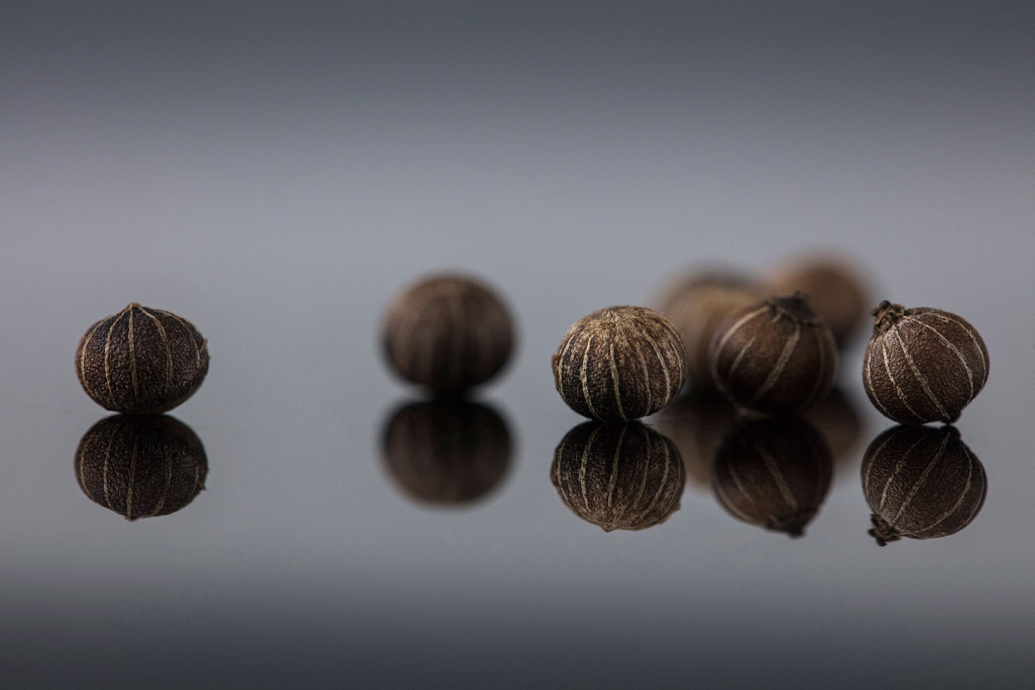 Poivre Zébré de Madagascar - en Direct Des Producteurs