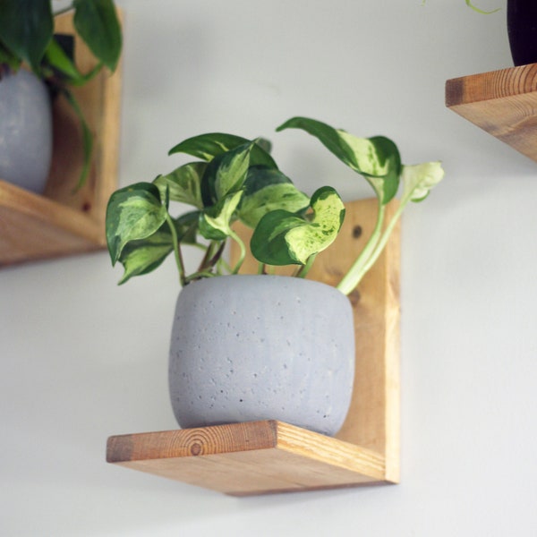 Plant Shelf Etsy