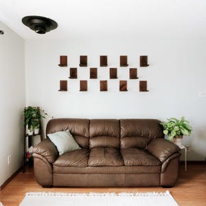 May include: A brown leather sofa with a light blue pillow sits on a hardwood floor. Above the sofa, a series of small, dark wooden shelves are mounted on a white wall. Potted plants and a small wooden shelf unit are visible.