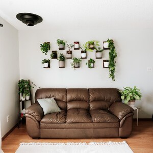 May include: A brown leather sofa with a light blue pillow sits on a hardwood floor. A collection of potted plants hangs on the wall above the sofa. Additional plants are on a wooden plant stand and a small table.