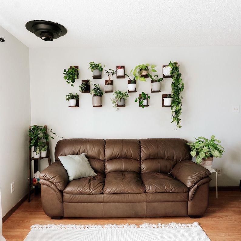 May include: A brown leather sofa with a light blue pillow sits on a hardwood floor. A collection of potted plants hangs on the wall above the sofa. Additional plants are on a wooden plant stand and a small table.