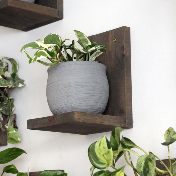 Plant Shelf Etsy