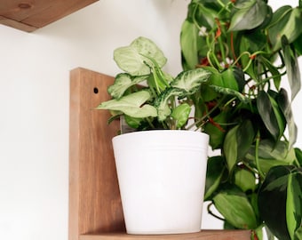 Prairie Sand Modern Handmade Plant Shelf, 3 Pack of Midcentury Modern Wall Shelves, Cat Proof L Shaped Floating Shelves