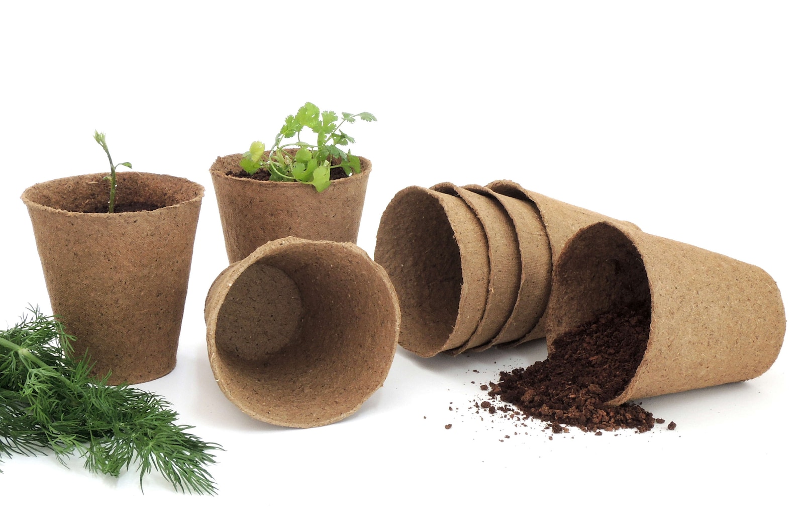 30 Pack 4inch Large Peat Pots Biodegradable Round Comes Etsy