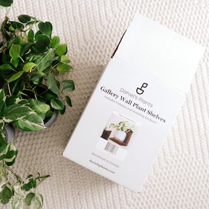 May include: A white cardboard box for Daniel's Plants Gallery Wall Plant Shelves, with the brand logo and product information printed on the front. The box includes 3 shelves and mounting hardware. A small plant is visible on the left.