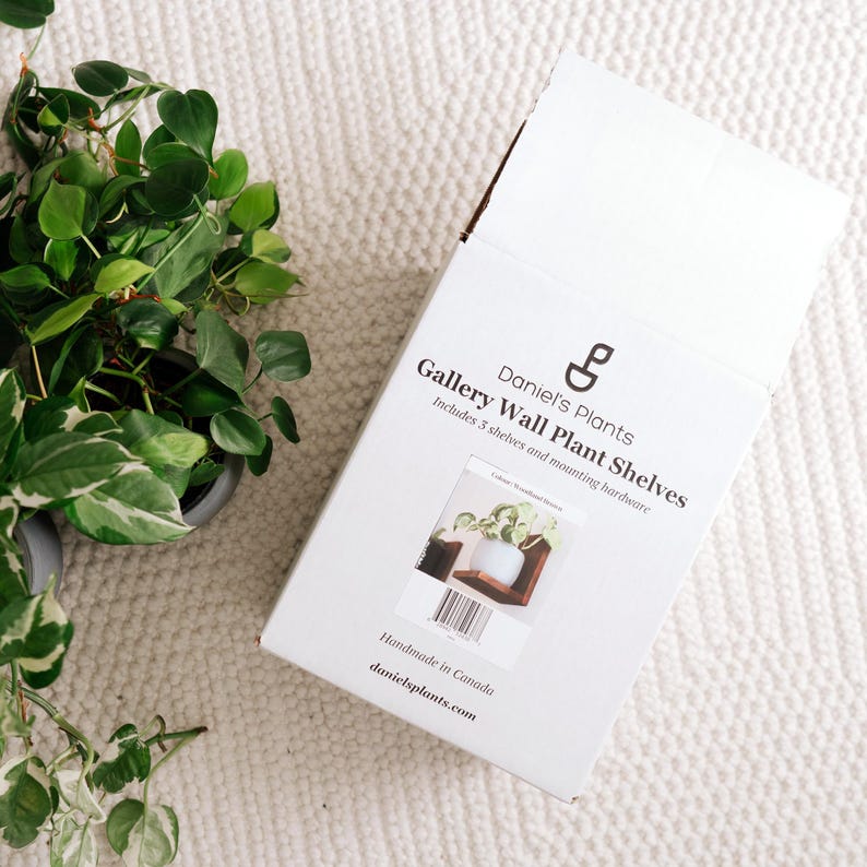 May include: A white cardboard box for Daniel's Plants Gallery Wall Plant Shelves, with the brand logo and product information printed on the front. The box includes 3 shelves and mounting hardware. A small plant is visible on the left.