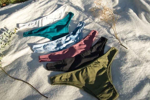 6 Pack Cheeky Underwear Bamboo Underwear/ Soft Organic Lingerie/ Organic  Cotton/ Handmade Bamboo Jersey/ 