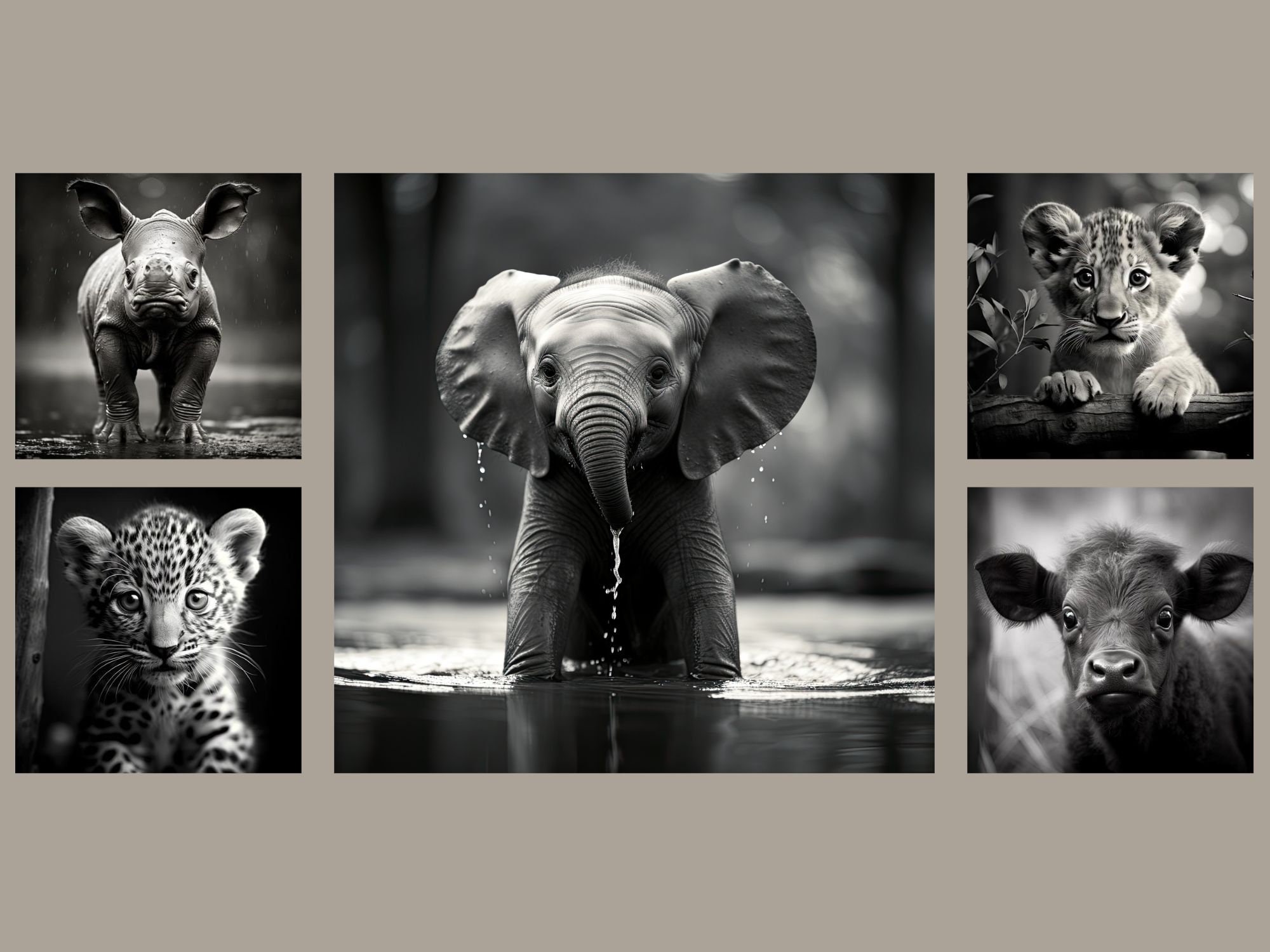 Big 5 African Animals Babies | Black and White | Digital Print | Lion ...