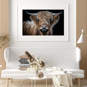 Pode incluir: Um retrato de perto de uma vaca Highland com uma pelagem longa e felpuda de cor castanho. A vaca est&aacute; olhando diretamente para a c&acirc;mera com uma express&atilde;o s&eacute;ria. O fundo &eacute; preto.