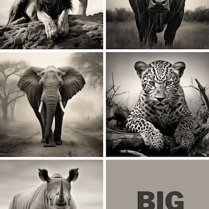 Los 5 grandes animales africanos / Blanco y negro / Impresión digital / León / Búfalo / Elefante / Leopardo / Rinoceronte
