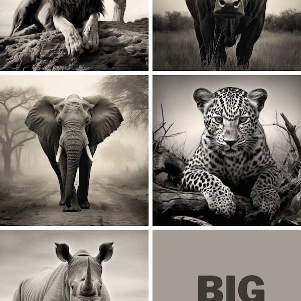 Big 5 African Animals | Black and White | Digital Print | Lion | Buffalo | Elephant | Leopard | Rhino