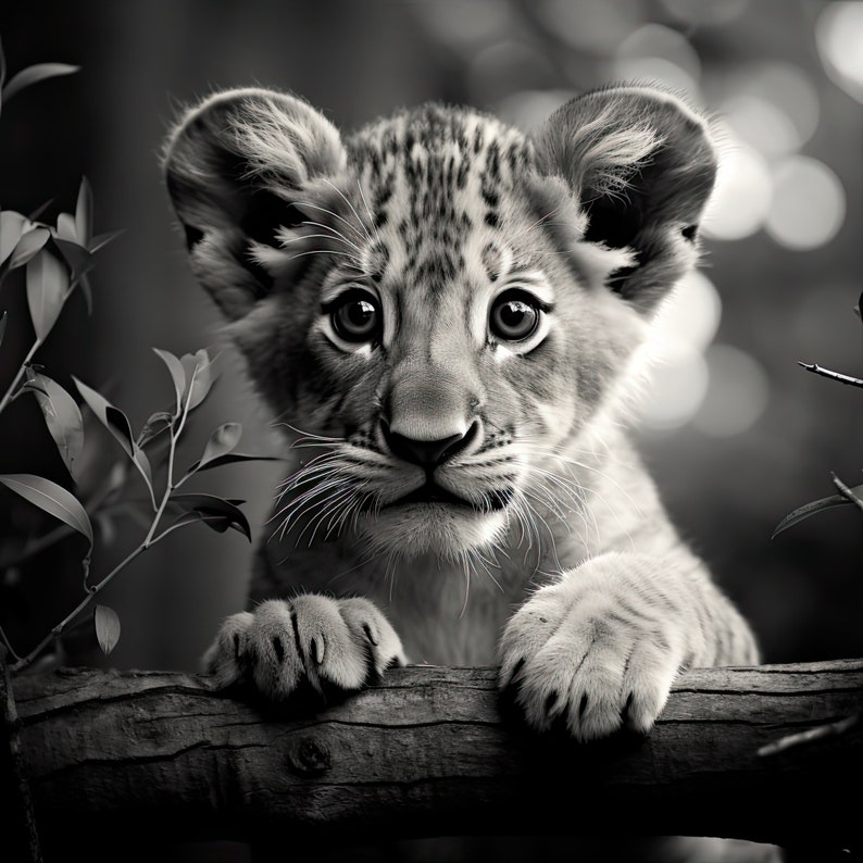 Big 5 African Animals Babies Black and White Digital Print Lion Buffalo