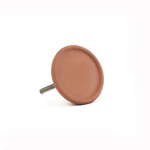 Puede incluir: Un pomo de armario redondo de color terracota con un tornillo roscado de metal. El pomo tiene una cara plana y circular y un borde ligeramente elevado. El herraje está diseñado para una fácil instalación en cajones o armarios.