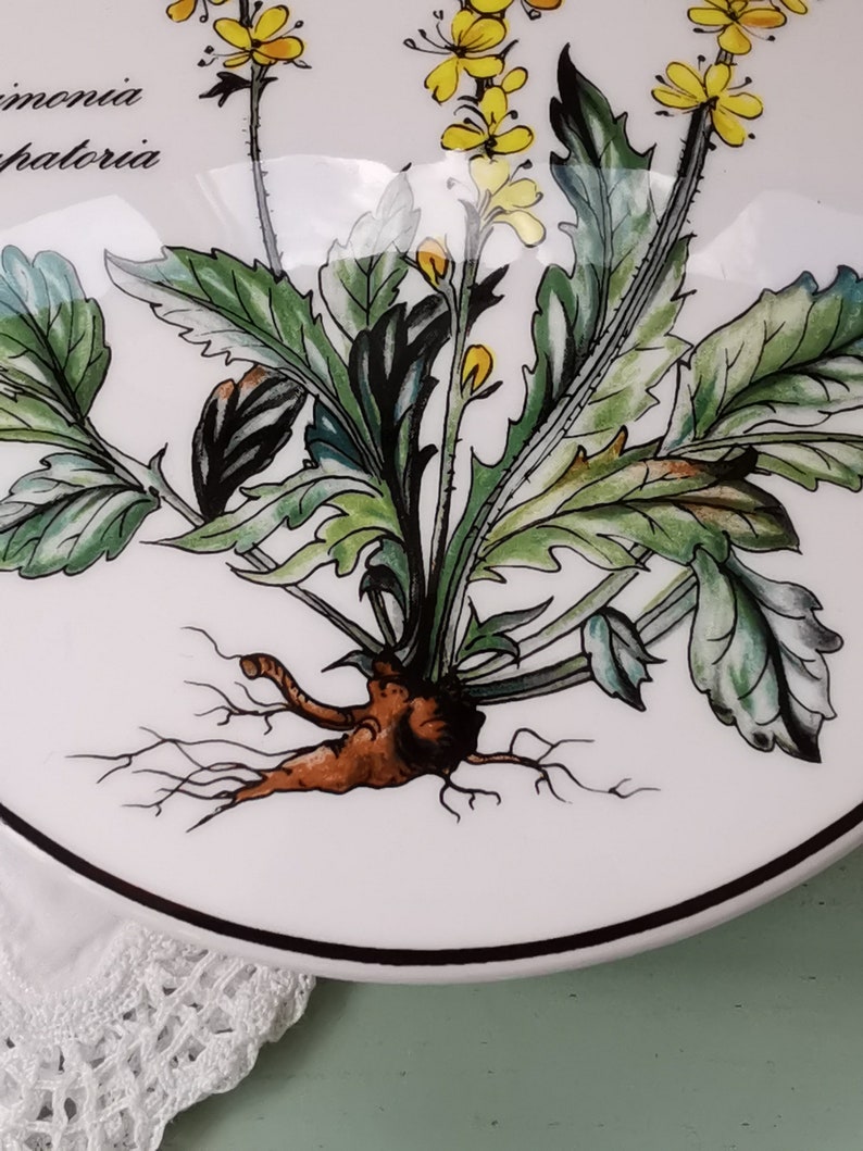May include: A white ceramic plate with a black rim features a hand-painted illustration of a yellow flower with green leaves and a brown root system. The text "Sincinia Spathoria" is written in black at the top of the plate.