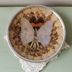May include: A round, silver-framed decorative plate with a butterfly made of iridescent wings and brown and white butterfly wings surrounding it.