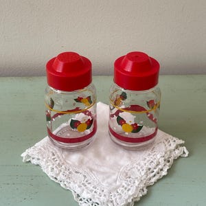 Vintage flower glass salt and pepper shakers