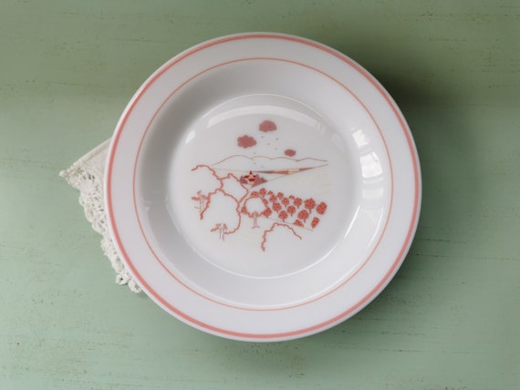 Lot De 6 Assiettes à Dessert Arcopal Vintage – Motif Roses Et églantines – Verre