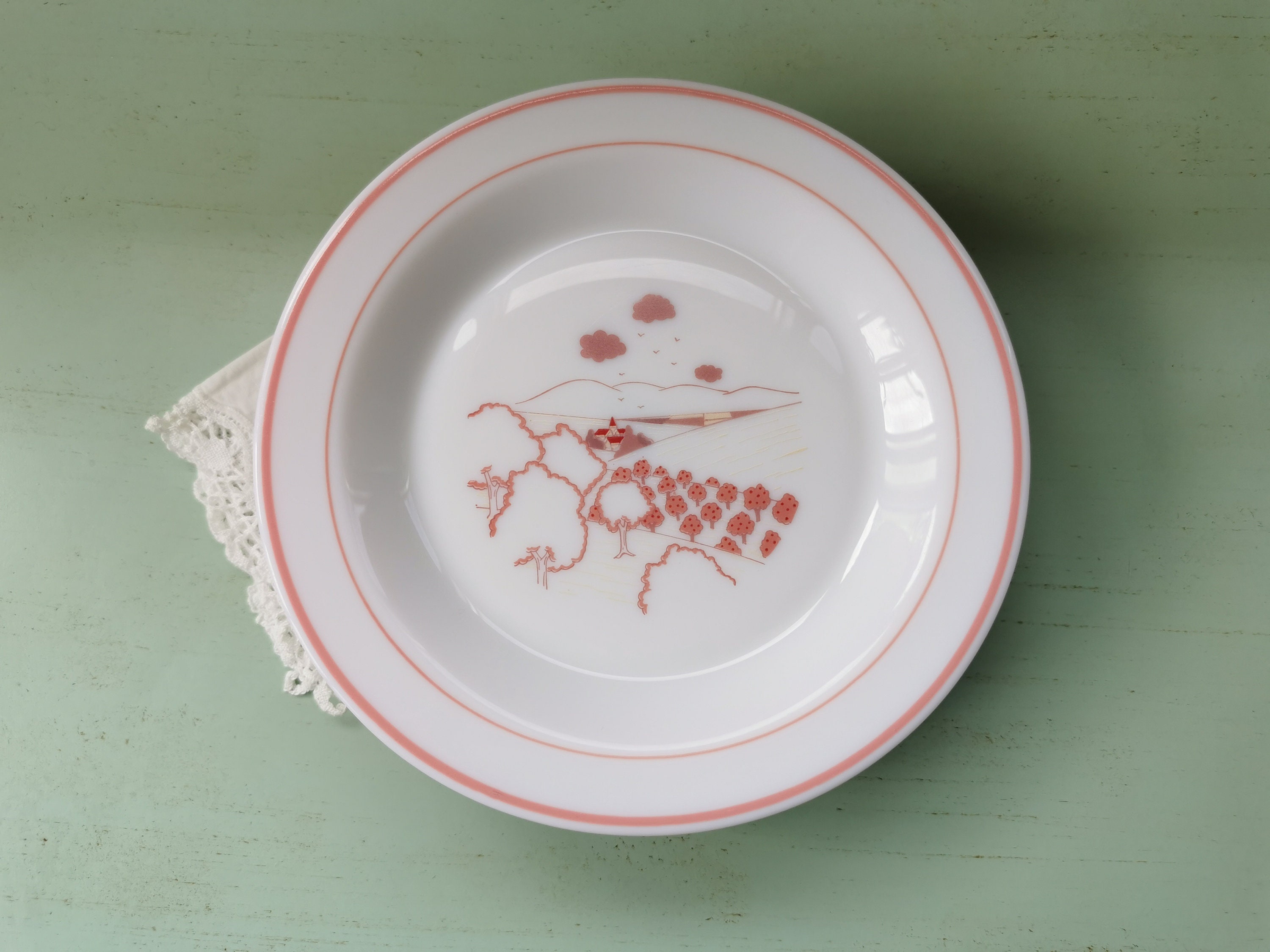 Lot de 6 assiettes creuses Arcopal roses et aubépines - Arts de la table