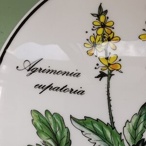 May include: A white ceramic plate with a black rim features a botanical illustration of Agrimonia eupatoria, a yellow flower with green leaves. The plant's name is written in black cursive script.