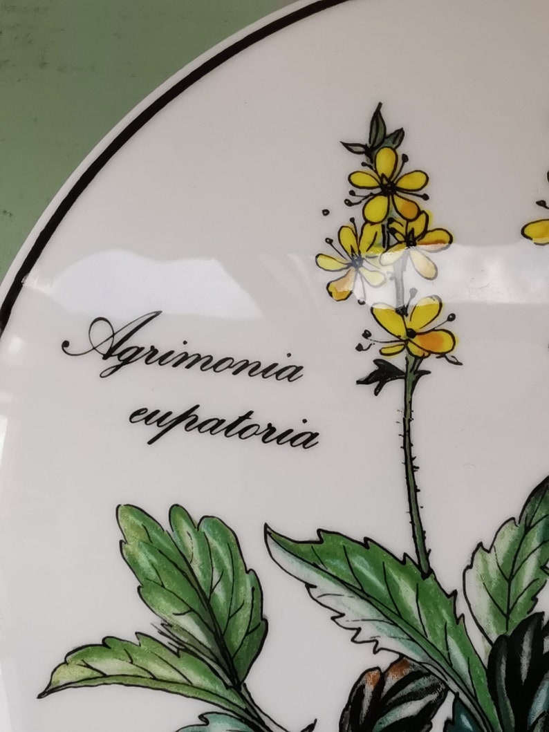 May include: A white ceramic plate with a black rim features a botanical illustration of Agrimonia eupatoria, a yellow flower with green leaves. The plant's name is written in black cursive script.