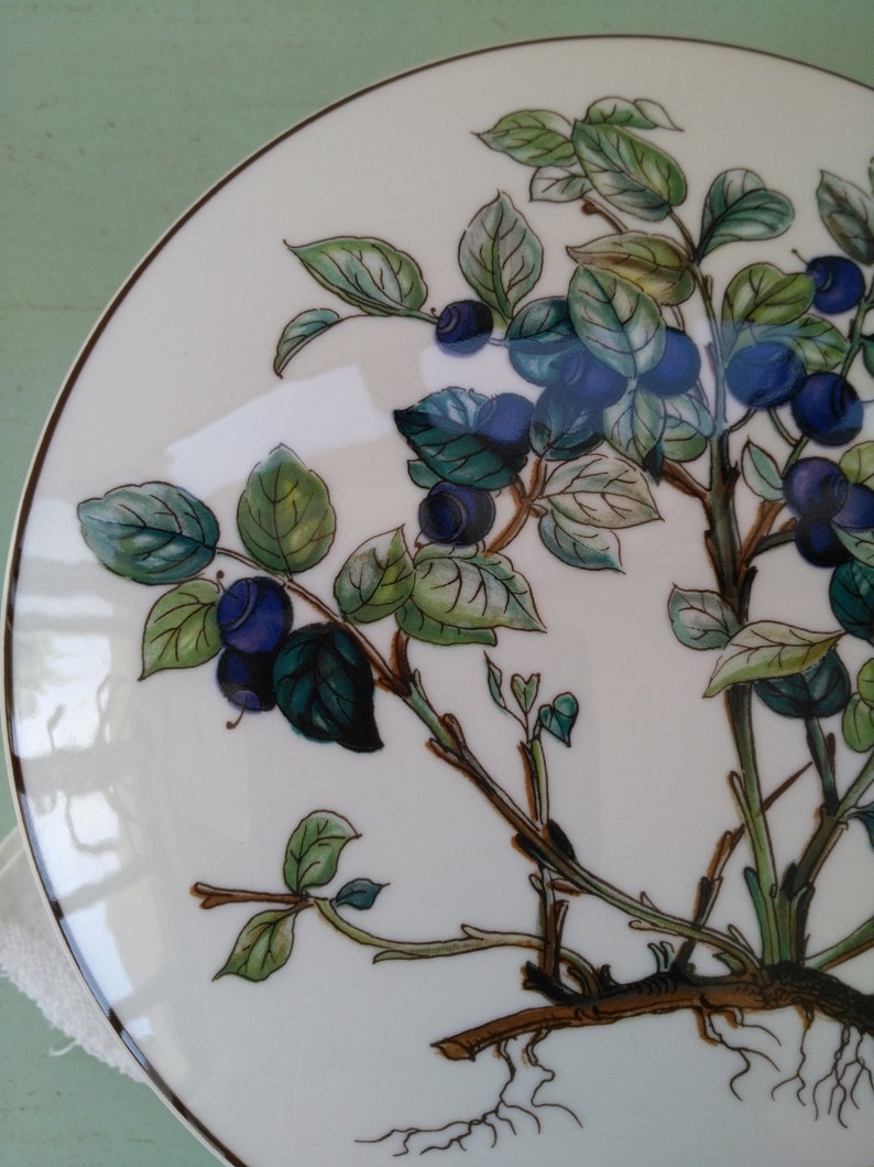 May include: A white ceramic plate with a hand-painted design of a blueberry bush with green leaves and blue berries. The plate has a gold rim.