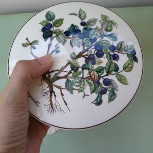 May include: A white ceramic plate with a brown rim features a detailed illustration of a blueberry bush with green leaves and blue berries. The plant's roots are visible at the base of the illustration. The text "myrtillus" is written in cursive on the plate.