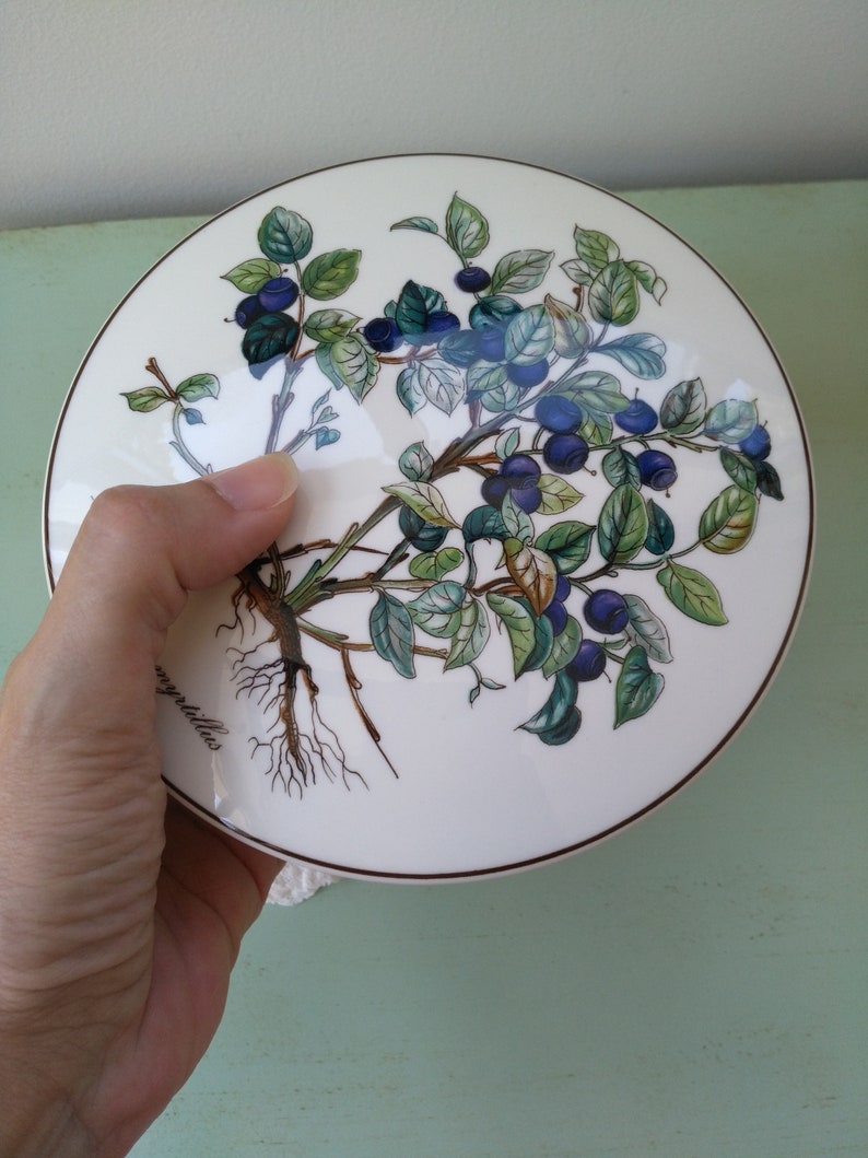 May include: A white ceramic plate with a brown rim features a detailed illustration of a blueberry bush with green leaves and blue berries. The plant's roots are visible at the base of the illustration. The text "myrtillus" is written in cursive on the plate.
