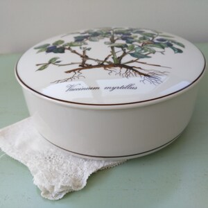 May include: White ceramic round box with a lid featuring a botanical illustration of a blueberry plant with the text "Vaccinium myrtillus".