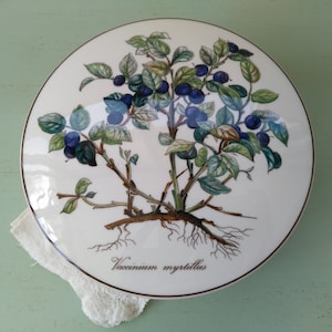 May include: A white ceramic plate with a detailed illustration of a blueberry bush with green leaves and dark blue berries. The plate has a brown border and the text "Vaccinium myrtillus" is printed on the bottom.