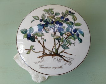 May include: A white ceramic plate with a detailed illustration of a blueberry bush with green leaves and dark blue berries. The plate has a brown border and the text "Vaccinium myrtillus" is printed on the bottom.