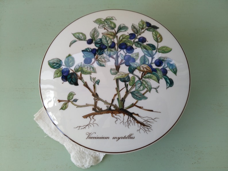 May include: A white ceramic plate with a detailed illustration of a blueberry bush with green leaves and dark blue berries. The plate has a brown border and the text "Vaccinium myrtillus" is printed on the bottom.