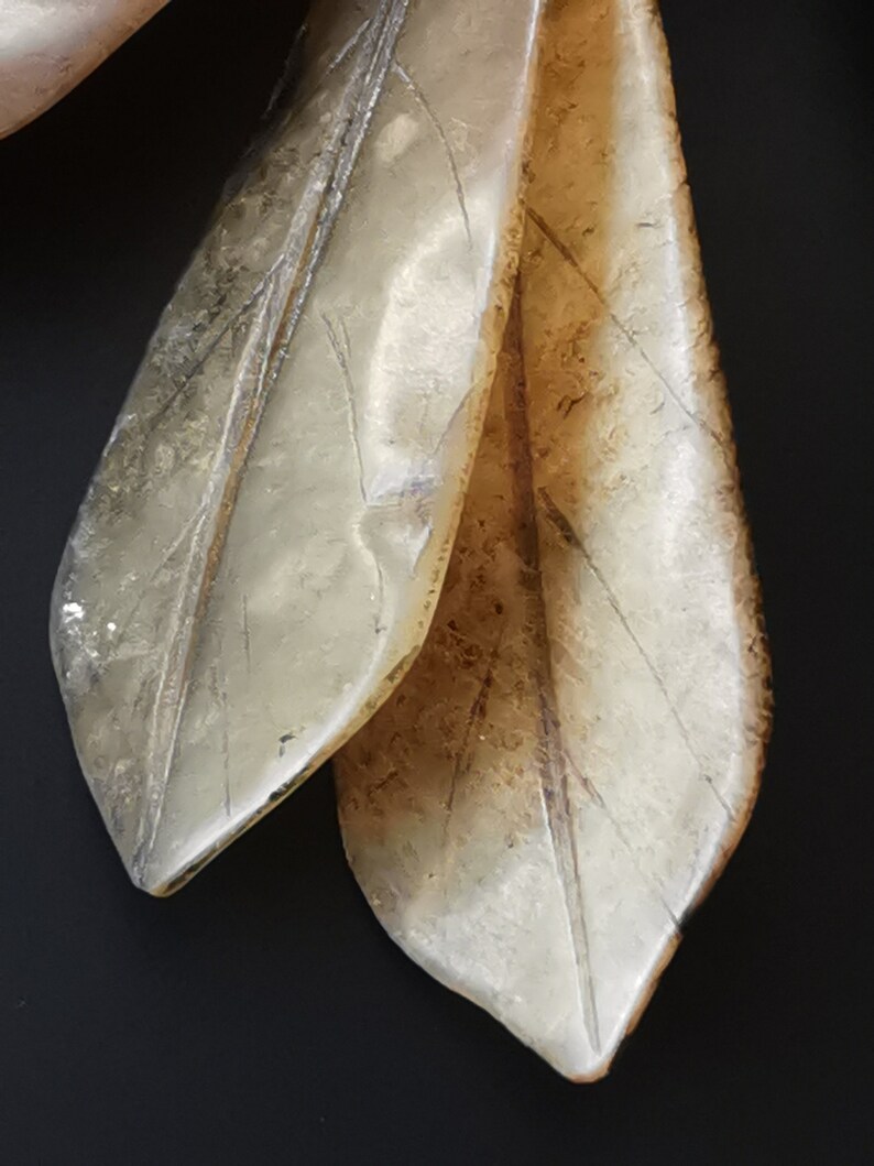Vintage stone banana fruit