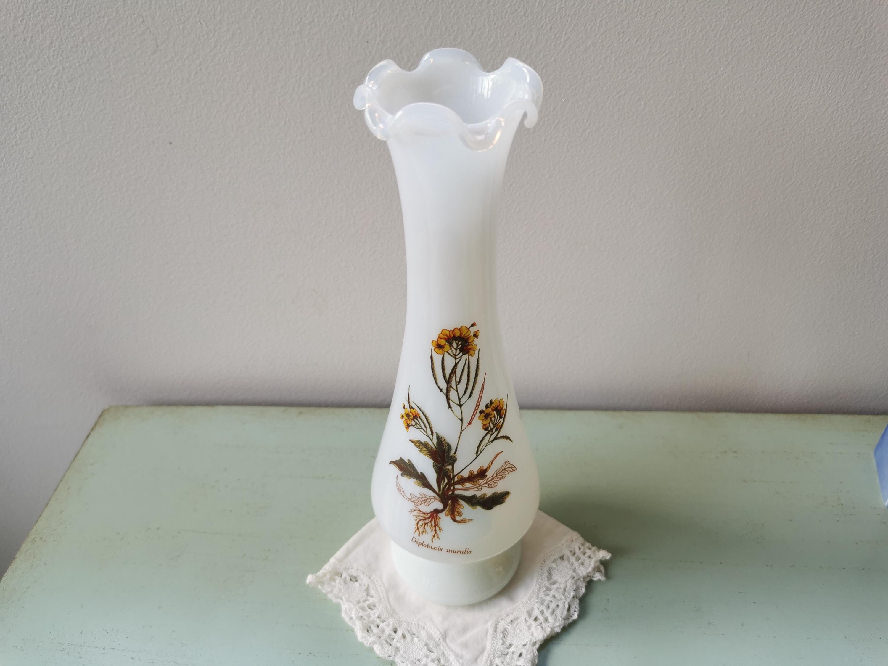 ヴィンテージ白乳花瓶「ディプロタクシス ムラリス」 - Etsy 日本