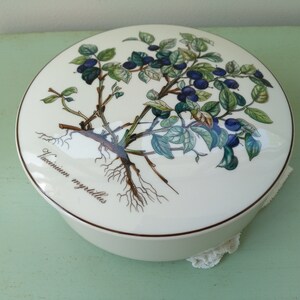 May include: White ceramic lidded box with a botanical illustration of a blueberry bush with green leaves and dark blue berries. The text "Vaccinium myrtillus" is printed on the bottom of the box.