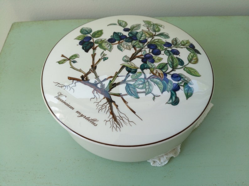 May include: White ceramic lidded box with a botanical illustration of a blueberry bush with green leaves and dark blue berries. The text "Vaccinium myrtillus" is printed on the bottom of the box.