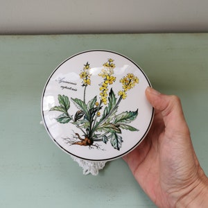 May include: A white ceramic lid with a black border and a botanical illustration of a yellow flower with green leaves. The text "Agrimonia eupatoria" is printed on the lid.
