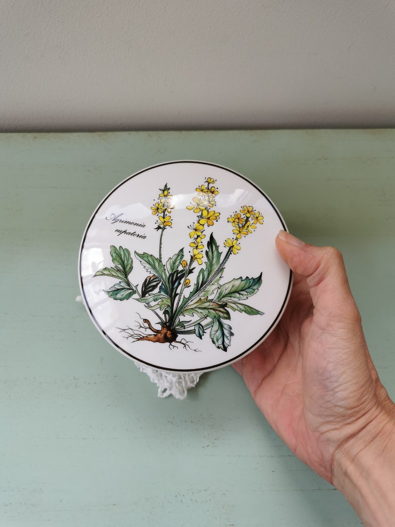 May include: A white ceramic lid with a black border and a botanical illustration of a yellow flower with green leaves. The text "Agrimonia eupatoria" is printed on the lid.