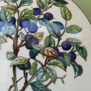 May include: A white ceramic plate with a hand-painted design of a blueberry bush with green leaves and blue berries.