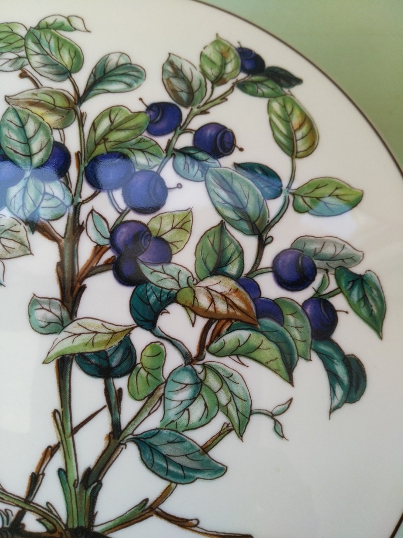 May include: A white ceramic plate with a hand-painted design of a blueberry bush with green leaves and blue berries.